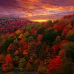 Upcoming Events at the North Carolina Arboretum in Asheville:  Fall 2016